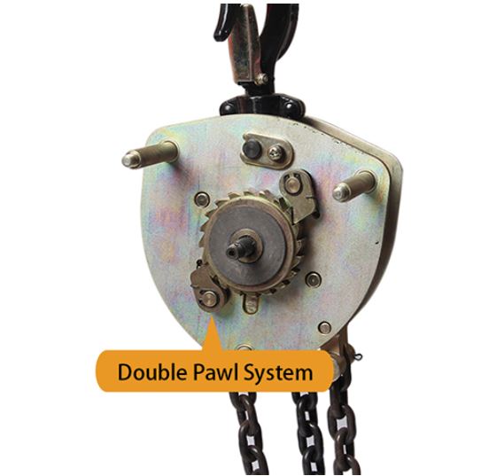 Double Pawl system